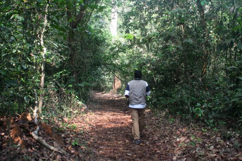 Thattekad 2nd trip 023