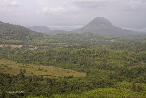 10_view_from_the_top