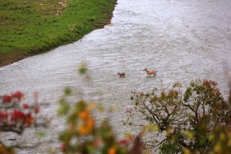 Corbett Apr 15 4 165