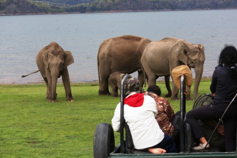 Corbett Apr 15 4 460